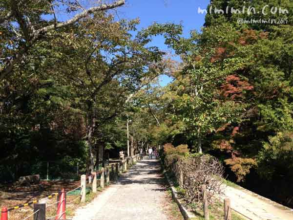 京都の哲学の道の写真