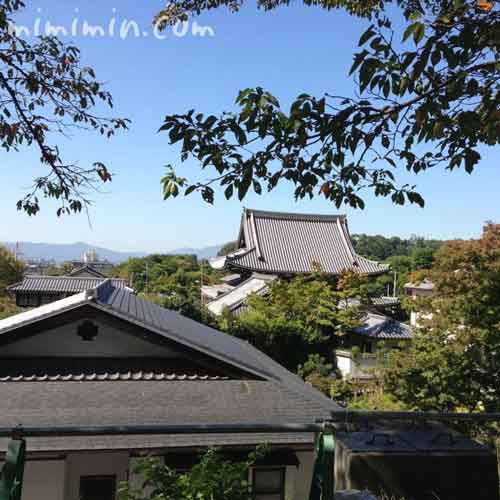 哲学の道の景観の写真