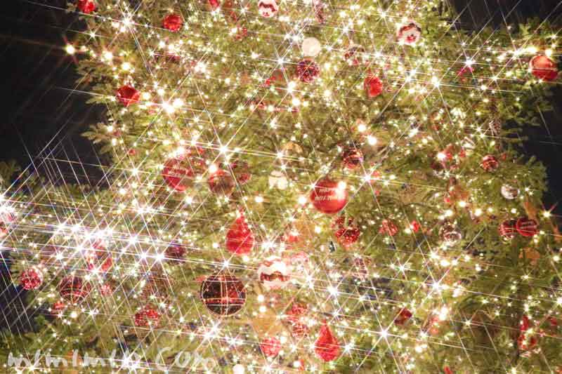 恵比寿ガーデンプレイスのクリスマスツリー・2017年の写真