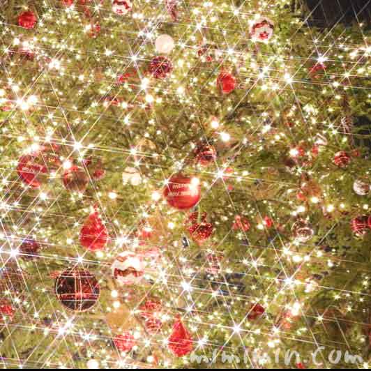 恵比寿ガーデンプレイスのイルミネーション・クリスマスツリー・2017年の写真