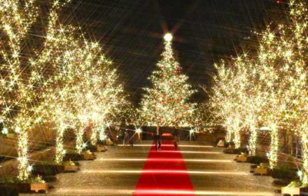 恵比寿ガーデンプレイスのクリスマスイルミネーションの画像