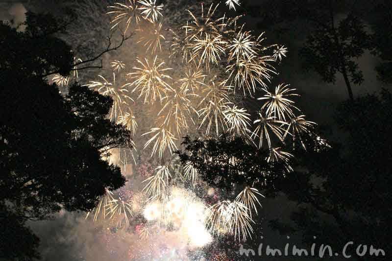 横浜の花火の画像