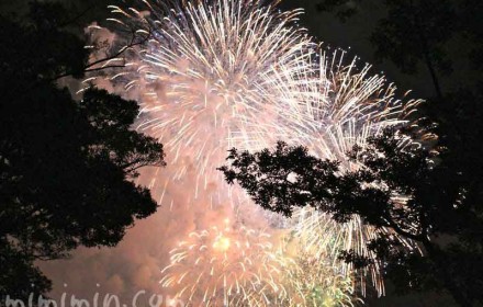 横浜ポートサイド公園から見た神奈川新聞花火大会の写真