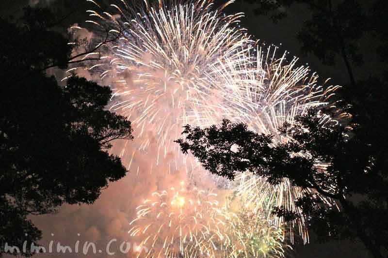 横浜ポートサイド公園から見た神奈川新聞花火大会の写真