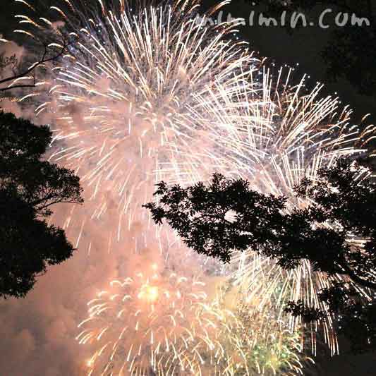 神奈川新聞花火大会・横浜ポートサイド公園の花火の写真