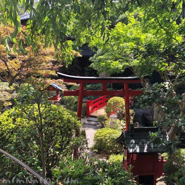 東京 芝 とうふ屋うかいの日本庭園