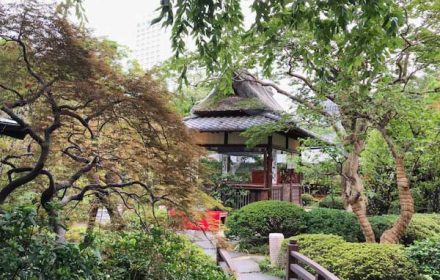 東京 芝 とうふ屋うかい 庭園