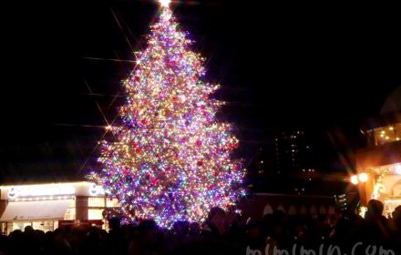 恵比寿ガーデンプレイスのクリスマスツリー2019の写真