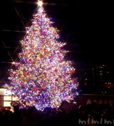 恵比寿ガーデンプレイスのクリスマスツリーとバカラのシャンデリア（2019年）